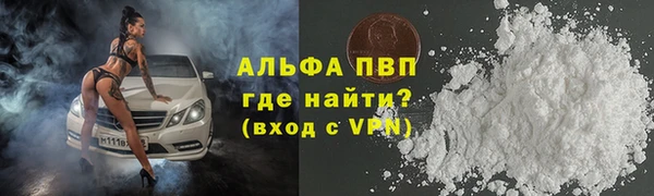 стаф Баксан