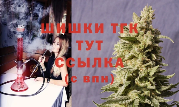 стаф Баксан