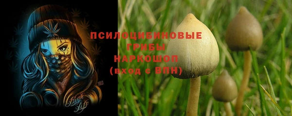 мяу мяу мука Балабаново