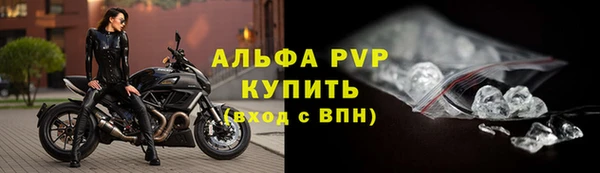 стаф Баксан