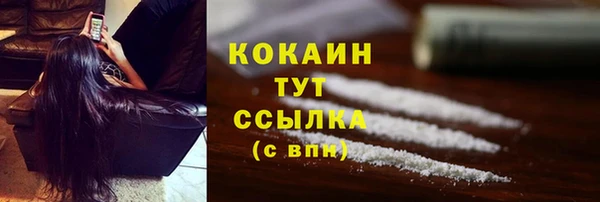 стаф Баксан