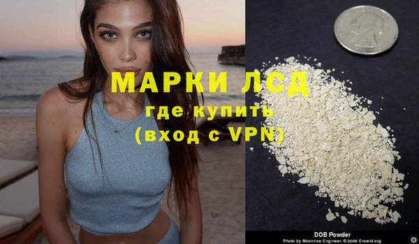 стаф Баксан