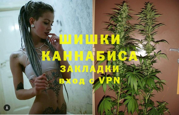 стаф Баксан