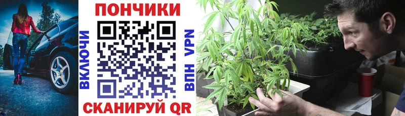Каннабис планчик  Горбатов 